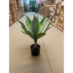 Planta Artificial Agave Suculenta para Decoração com 60cm - 5