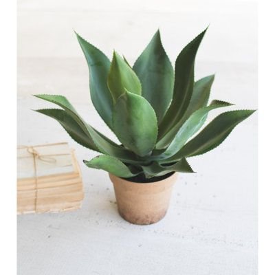 Planta Artificial Agave Suculenta para Decoração com 60cm