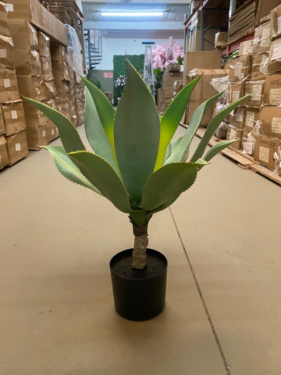 Planta Artificial Agave Suculenta para Decoração com 60cm - 2