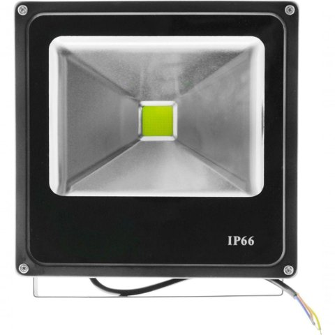 Refletor de Led Externo Jardim Fachada Muro 20 W Bivolt