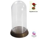 Ver imagem 2 de 6 Redomas de Acrílico Cúpulas Capsulas Base Ouro Envelhecido Grande 19 Cm Kit Festa Atacado Amor Lin