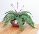 Ver imagem 2 de Arranjo Flor Artificial Samambaia Renda Verde Vaso Terrário