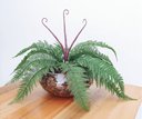 Ver imagem 4 de Arranjo Flor Artificial Samambaia Renda Verde Vaso Terrário