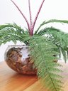Ver imagem 3 de Arranjo Flor Artificial Samambaia Renda Verde Vaso Terrário