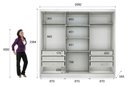 Ver imagem 5 de Guarda Roupa Casal com Espelho 3 Portas 6 Gavetas - Medelim-branco - Móveis Novo Horizonte