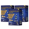 Kit Suplemento Alimentar Condroflan Ultra Airela 60 Cápsulas - 1