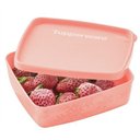 Ver imagem 1 de Mini Jeitosinho 250ml Neve Rosa Chá Tupperware