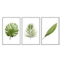 Ver imagem 1 de Kit 03 Quadros Decorativos - Folhas Tropicais Verde Claro Flnt008 - Tela Canvas - 60x80cm