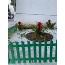 Ver imagem 5 de Kit 6 Cercas Jardim Ornamental Horta Plástico Verde 2 mt P