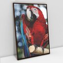 Ver imagem 2 de Quadro Decorativo em Canvas Arara Vermelha TaColado Moldura Madeira 60 x 40cm