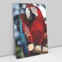 Ver imagem 1 de Quadro Decorativo em Canvas Arara Vermelha TaColado Moldura Madeira 60 x 40cm