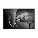 Ver imagem 2 de Quadro Decorativo - Familia de Elefante Preto e Branco Anm005 - Canvas 80x60cm