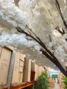 Ver imagem 4 de Planta Artificial Árvore Cerejeira Branca Artificial Realista Planta com 3m