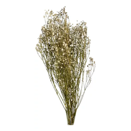 Buquê Gypso Mosquitinho Branco Gypsofila Desidratado Arranjo - 4