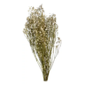 Buquê Gypso Mosquitinho Branco Gypsofila Desidratado Arranjo - 4