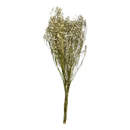 Buquê Gypso Mosquitinho Branco Gypsofila Desidratado Arranjo - 3