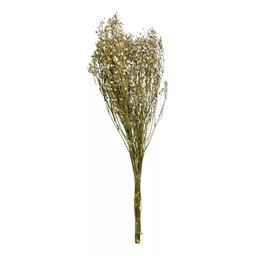Buquê Gypso Mosquitinho Branco Gypsofila Desidratado Arranjo - 2