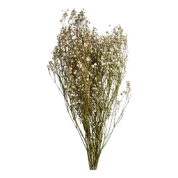 Buquê Gypso Mosquitinho Branco Gypsofila Desidratado Arranjo - 1