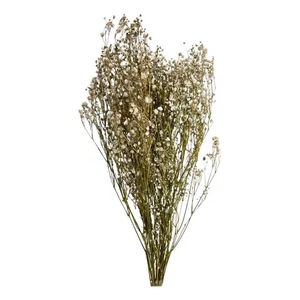Buquê Gypso Mosquitinho Branco Gypsofila Desidratado Arranjo