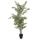 Ver imagem 6 de Planta Artificial Fícus Variegata Árvore Grande para Sala Planta com 1.80m