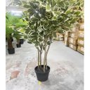 Ver imagem 3 de Planta Artificial Fícus Variegata Árvore Grande para Sala Planta com 1.80m