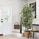 Ver imagem 1 de Planta Artificial Fícus Variegata Árvore Grande para Sala Planta com 1.80m