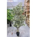 Ver imagem 2 de Planta Artificial Fícus Variegata Árvore Grande para Sala Planta com 1.80m