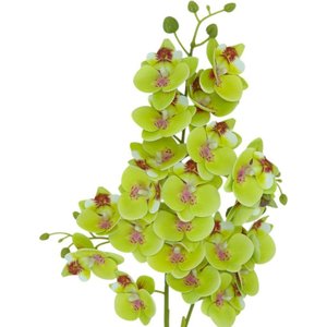 Haste Orquídea Delicada 3d Artificial de 75cm Realista para Decoração