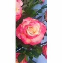 Ver imagem 4 de Planta Artificial Roseira Chilena Rosa Degradê 1,30m Altura