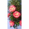 Planta Artificial Roseira Chilena Rosa Degradê 1,30m Altura - 2