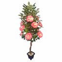 Ver imagem 1 de Planta Artificial Roseira Chilena Rosa Degradê 1,30m Altura