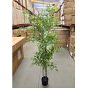 Ver imagem 2 de Bambu Artificial para Sala Árvore Nandina Realista 1.80m