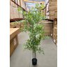 Bambu Artificial para Sala Árvore Nandina Realista 1.80m - 2