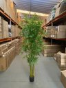 Ver imagem 2 de Bambu Artificial para Sala Árvore Realista 1.80m, Plantas Artificial