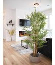 Ver imagem 1 de Bambu Artificial para Sala Árvore Realista 1.80m, Plantas Artificial