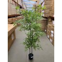 Ver imagem 5 de Bambu Artificial para Sala Árvore Nandina Realista 1.80m