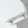 Ferragem Avulsa para Assento Sanitário - 5