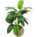 Ver imagem 1 de PLANTA ARTIFICIAL CORDIFORME 80CM PRA SALA VERDE DE VASO