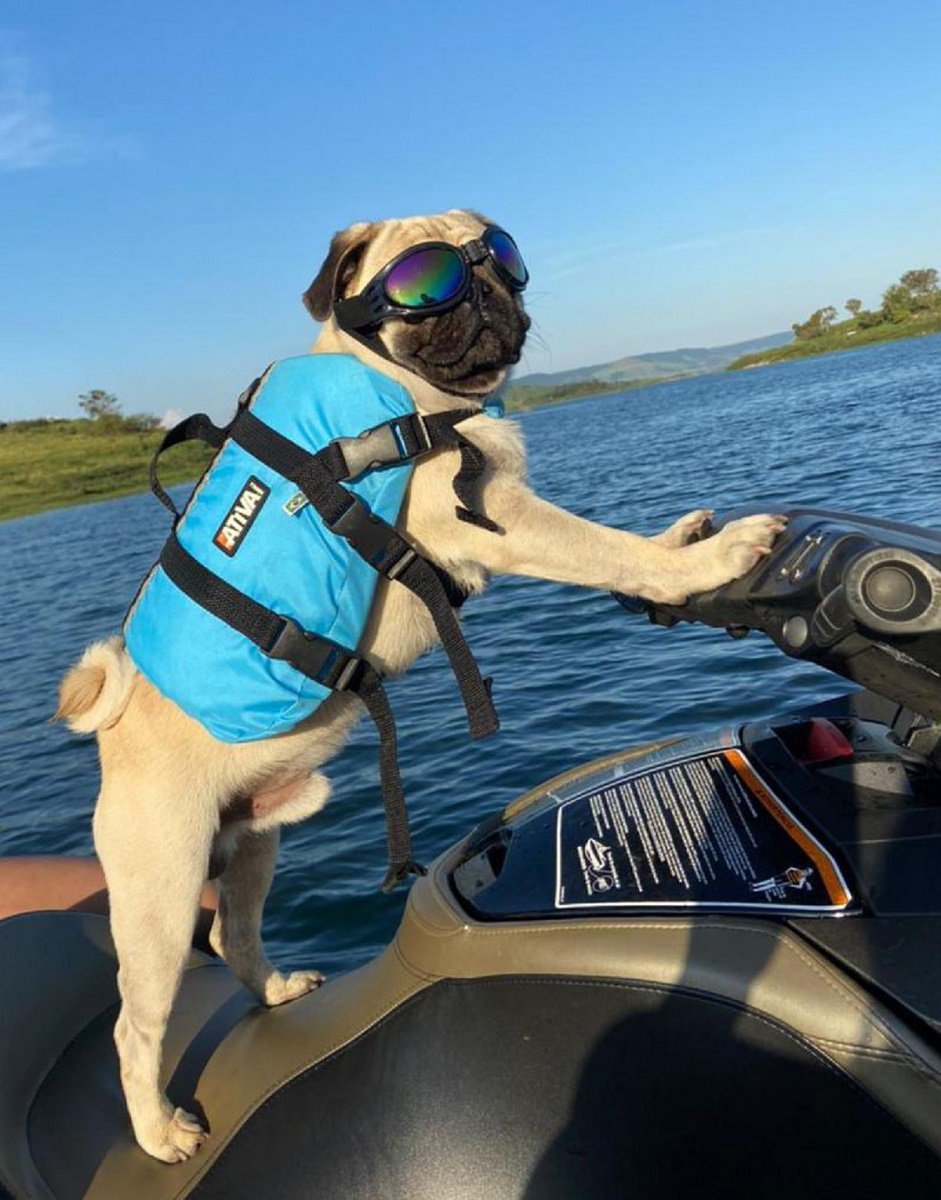 COLETE SALVA VIDAS CAMUFLADO PARA CÃES ACIMA DE 36KG Ativa Nautica Pet Vest - 3