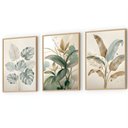 Ver imagem 1 de Kit 3 Quadros Folhagem Costela de Adão Botânico com Moldura:castanho
