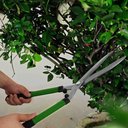 Ver imagem 4 de Kit 3 Tesouras Poda Jardim Cerca Viva Jardinagem TCUT3 Trato