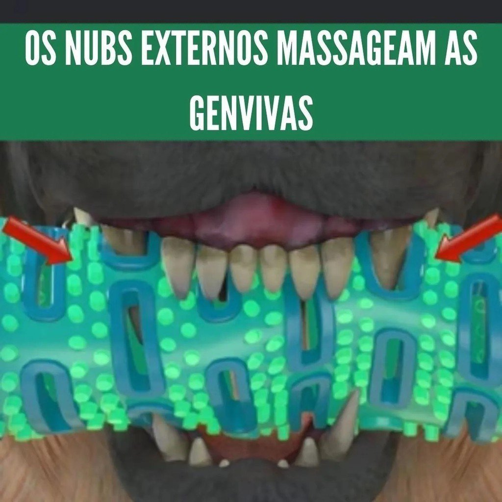 Brinquedo 3x1 Mordedor Osso Massageador Gengiva Removedor Tártaros Escova de Dente Para Cachorro Cão - 3