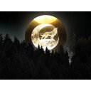 Ver imagem 2 de Luminária Abajur Globo Vidro Lobo Led Usb Enfeite Decorativo Esfera Vidro de 3d Base de Madeira