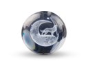 Ver imagem 4 de Luminária Abajur Globo Vidro Lobo Led Usb Enfeite Decorativo Esfera Vidro de 3d Base de Madeira
