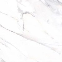 Porcelanato Gaudi 60x60 Carrara Dream Polido