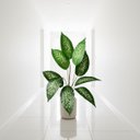 Ver imagem 5 de 1 Folhagem Artificial Comigo Ninguém Pode Arbusto Realista Decoração Premium Enfeite de Alto Padrão