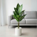 Ver imagem 6 de 1 Folhagem Artificial Comigo Ninguém Pode Arbusto Realista Decoração Premium Enfeite de Alto Padrão