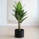 Ver imagem 1 de 1 Folhagem Artificial Comigo Ninguém Pode Arbusto Realista Decoração Premium Enfeite de Alto Padrão
