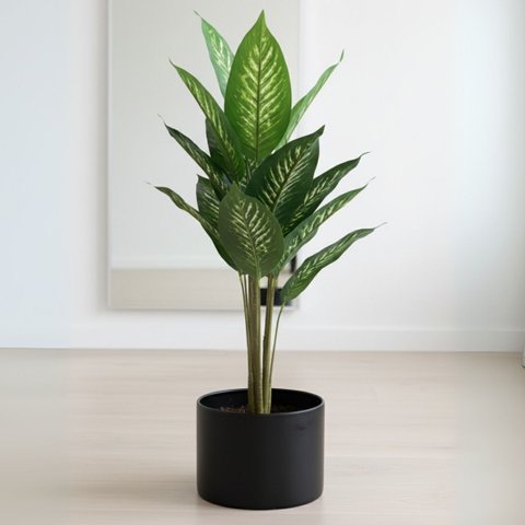 1 Folhagem Artificial Comigo Ninguém Pode Arbusto Realista Decoração Premium Enfeite de Alto Padrão