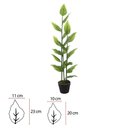 Ver imagem 2 de A. Hosta Real Toque C/pote X19 (verde Creme) 1,2m